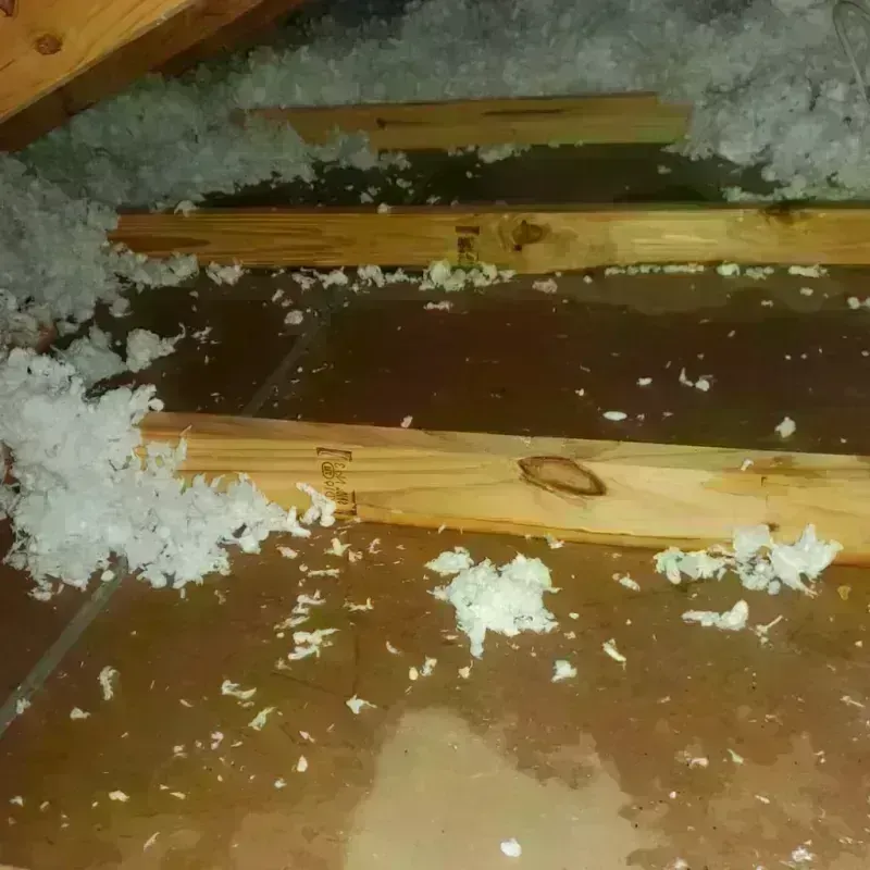 Attic Water Damage in Euless, TX