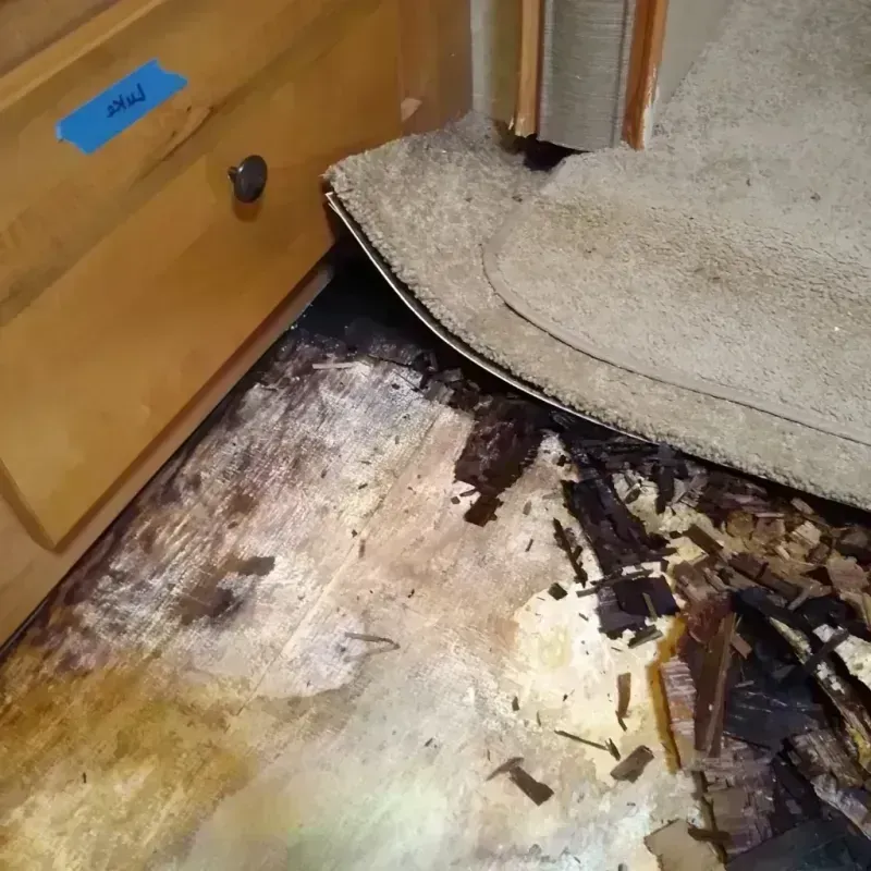 Wood Floor Water Damage in Euless, TX